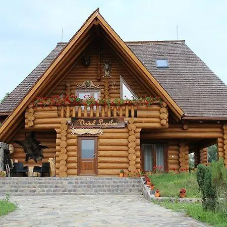 Vadul Lupilor Guest house Moisei